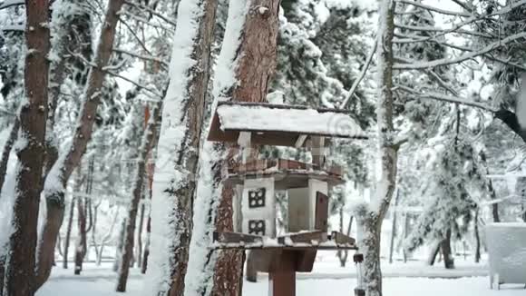 在寒冷的森林或公园里在寒冷的雪冬里有一个很好的木制鸟舍或送鸟器或飞鸽视频的预览图