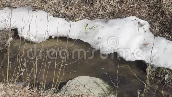 溪边溪边瀑布春天森林里的岩石和雪4KUHD中弹视频的预览图