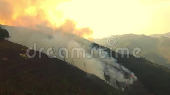 Bwindi难以穿透森林附近的乌干达森林发生火灾视频的预览图