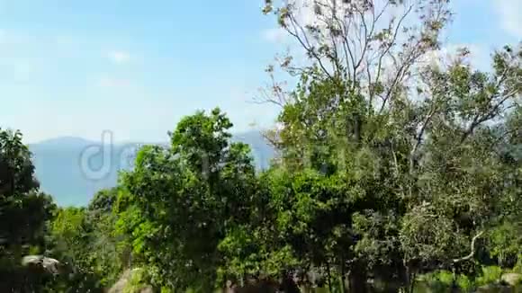 鸟瞰热带岛屿丛林茂盛水绿松石视频的预览图