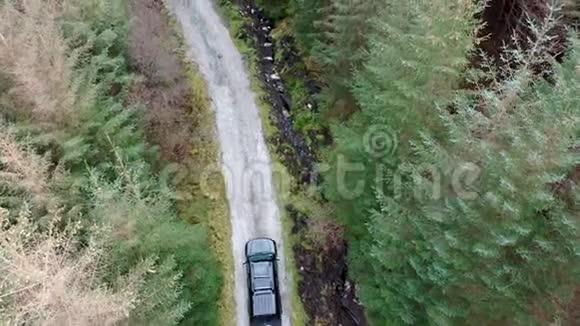 4x4皮卡车驶过森林所有品牌都被拆除视频的预览图