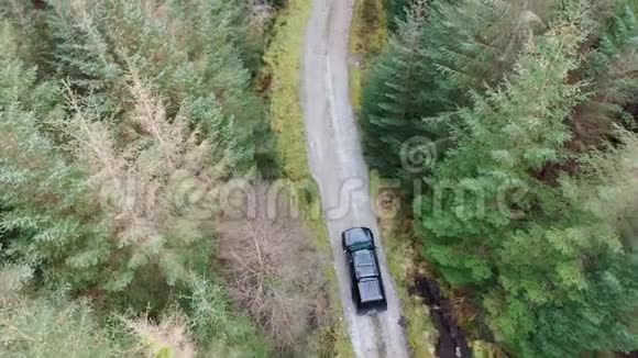 4x4皮卡车驶过森林所有品牌都被拆除视频的预览图