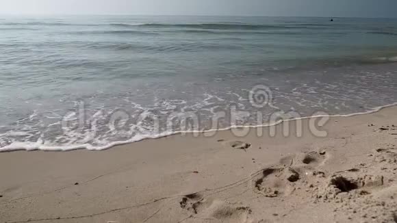 穿短裤的男性在海滩上散步留下脚印视频的预览图