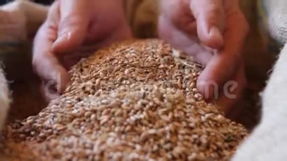 显示小麦品质的人的照片视频的预览图