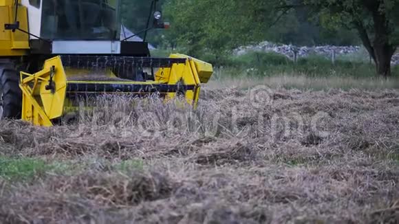 联合收割机在田间收割小麦的慢镜头视频的预览图