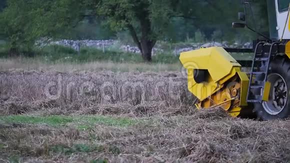 联合收割机在田间收割小麦的慢镜头视频的预览图