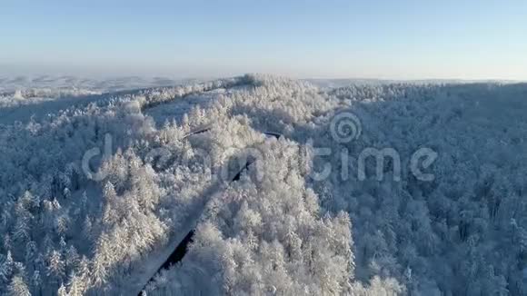 美丽的冬季景色白树覆盖着雪视频的预览图