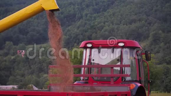联合收割机在有机农场收割小麦的慢镜头视频的预览图
