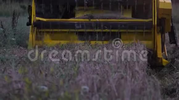 一种在田间收割小麦的组合机的录像视频的预览图