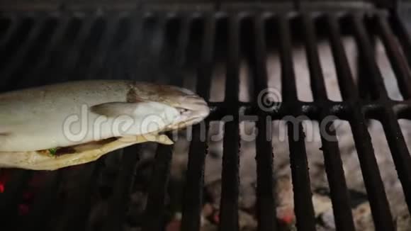 生鱼全虹鳟塞柠檬煮在热煤烤架上多利滑动摄像机移动视频的预览图