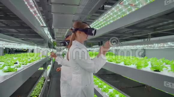 现代农场科学家使用虚拟现实眼镜是植物基因改造的过程视频的预览图