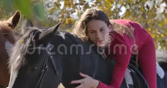 年轻快乐的白种人女性马术运动员躺在马背上抚摸她的宠物美丽的黑马站在视频的预览图