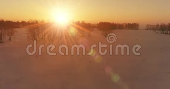 无人驾驶飞机观看寒冷的冬季景观北极的田野覆盖着霜雪的树木和清晨的阳光视频的预览图