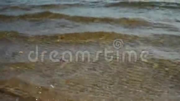 河流背景纯净清新透明的山河水从上面看从水中可以看到沙子视频的预览图