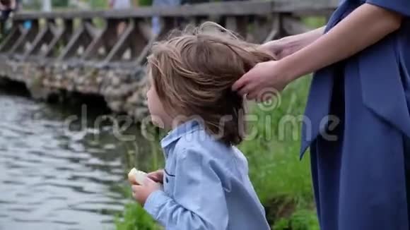 小男孩在河边喂鸭子妈妈抚摸着孩子头发夏季户外活动关门视频的预览图