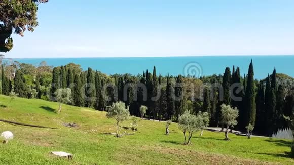 夏季新阿托斯附近的阿布哈兹自然视频的预览图