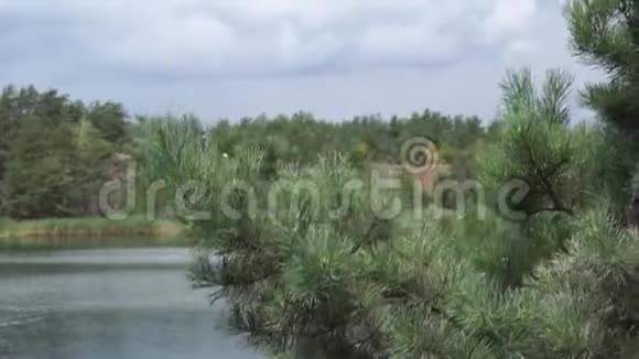 在乌克兰山湖上的蒂利景色视频的预览图
