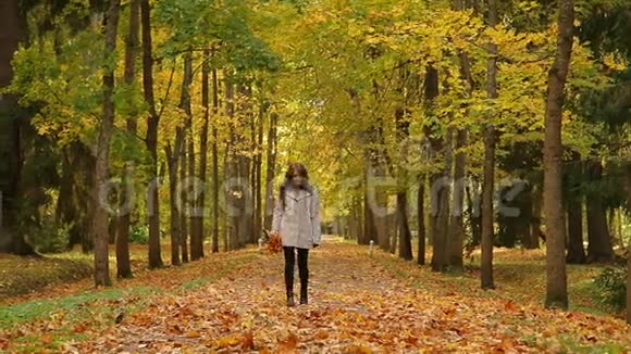 迷人的女孩带着一束黄叶在公园里娱乐把叶子扔出去视频的预览图