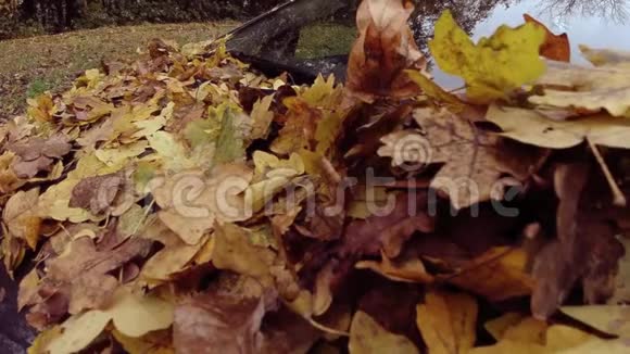 公园汽车挡风玻璃上秋天落叶的慢镜头视频的预览图