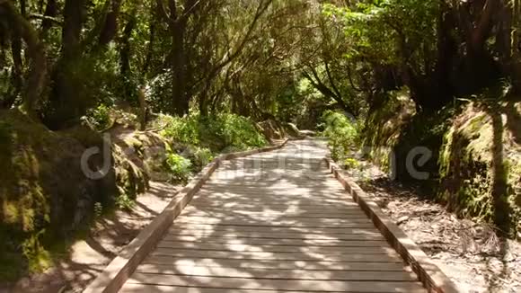 在山上美丽的森林里走在木路上的4K视频完美的旅游背景或背景视频的预览图