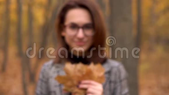 一个戴眼镜的年轻女人躲在秋天森林里的一棵大树叶子后面女孩拿着树叶对着镜头视频的预览图