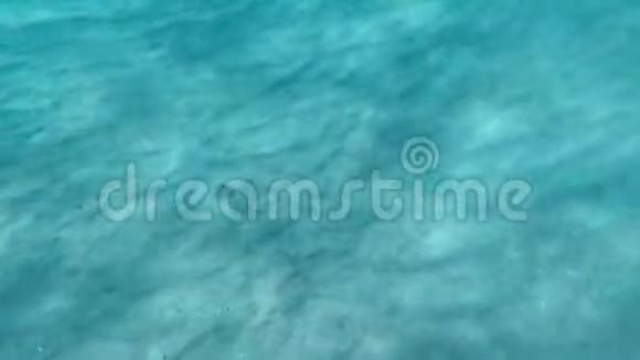 空的沙质红海地板从海浪中荡漾视频的预览图