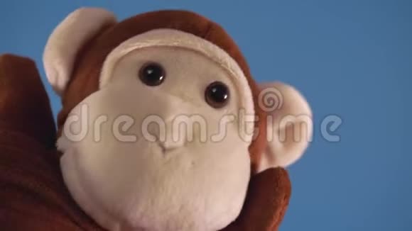 手边蓝色背景的软木偶玩具木偶戏的概念与傀儡猴子的手特写镜头视频的预览图