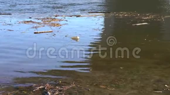 在康涅狄格州被洪水淹没的河流中漂浮的自然和人类制造的碎片视频的预览图