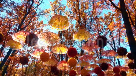 公园秋日背景彩伞装饰视频的预览图