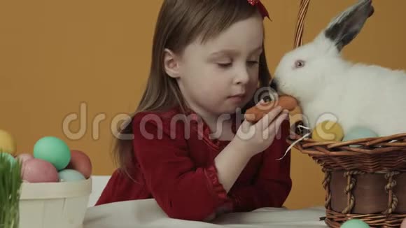 那个女孩在玩和抚摸一只兔子复活节的主题假日视频的预览图
