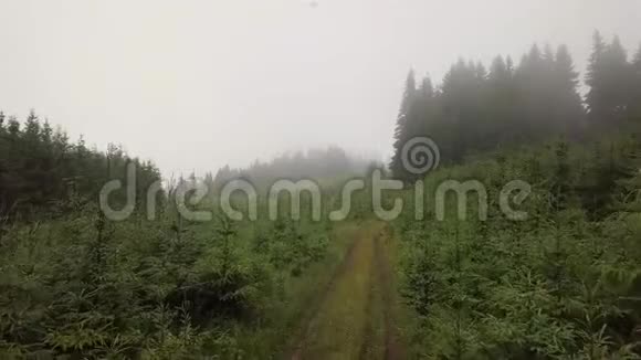 晨雾中升起的山路的鸟瞰图视频的预览图