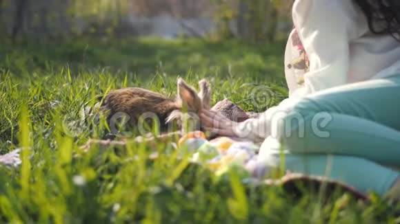 小女孩在户外抚摸一只棕色兔子在许多五颜六色的装饰复活节彩蛋中视频的预览图