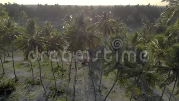 桑给巴尔岛东部的天堂热带帕耶海滩上环绕着棕榈树的茅草屋的鸟瞰图视频的预览图