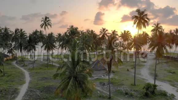 桑给巴尔岛东部的天堂热带帕耶海滩上环绕着棕榈树的茅草屋的鸟瞰图视频的预览图