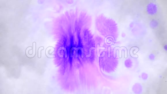 美丽的蔓延紫色墨水滴黄湿光滑的表面视频的预览图