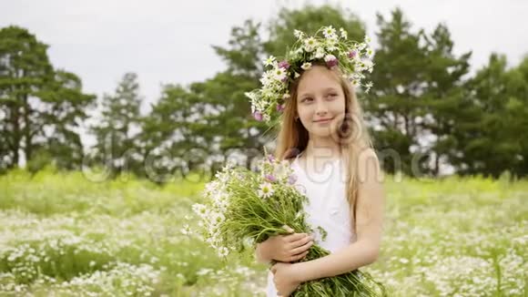 微笑的女孩花圈与洋甘菊花束夏季田野肖像少女与花束摆姿势视频的预览图