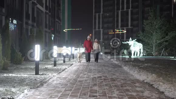 妈妈女儿和狗正在冬季公园散步视频的预览图