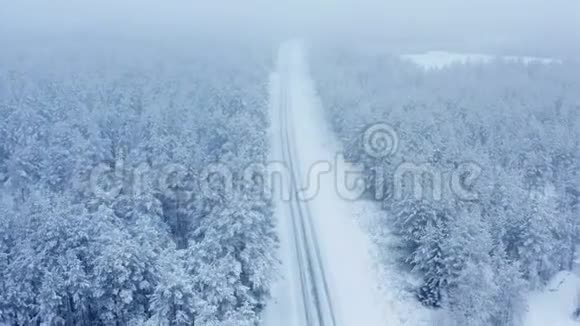 沿着一条空旷的道路飞在平静的雪中飞过雪杉松树变成雪云风景优美童话冬季森林视频的预览图