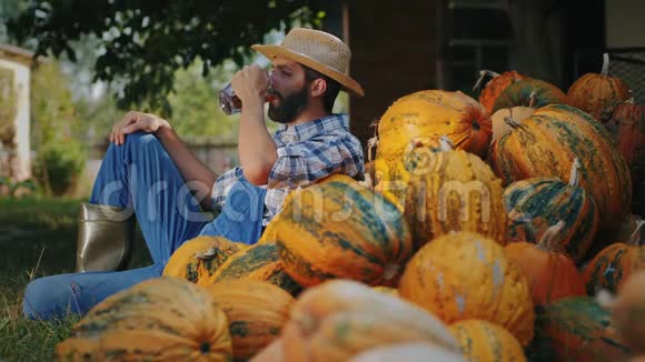 农夫坐在南瓜堆附近喝啤酒视频的预览图