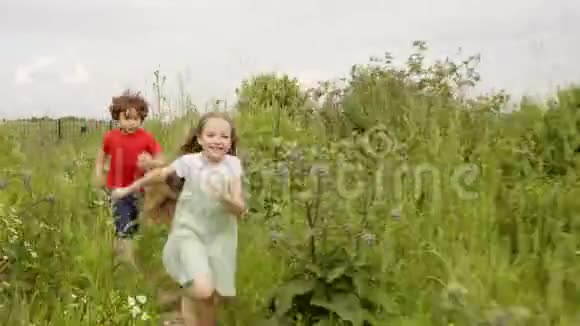 孩子们在暑假在草地上玩接球游戏视频的预览图