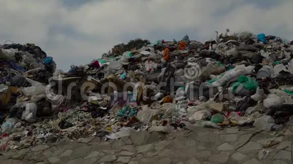 城市垃圾场大量不回收的塑料躺在垃圾堆里4K视频的预览图