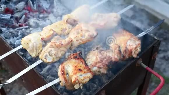 在户外烤架上烤生肉野餐时用炭火烤肉烧烤派对烤肉串视频的预览图
