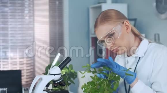 在现代实验室里穿着实验室外套和防护眼镜的聪明女人在盆栽中检查植物视频的预览图