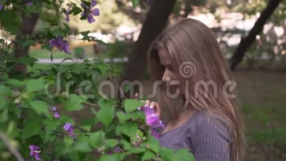 可爱少女嗅嗅摸芙蓉花快乐的女孩穿着灰色的衣服靠近一棵盛开的芙蓉树视频的预览图