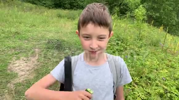 一个饥饿的十几岁男孩走过一片绿色的田野草地在进去时吃着美味的生黄瓜的画像视频的预览图