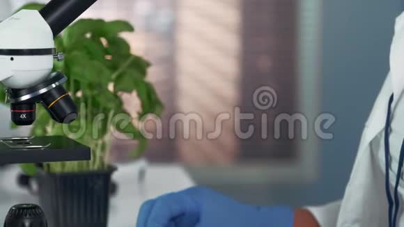 用外科钳子将植物叶片置于显微镜下观察女科学家的特写视频的预览图