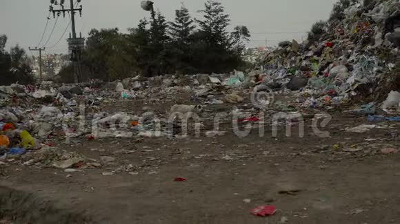 混合垃圾堆积如山城市垃圾场4K视频的预览图