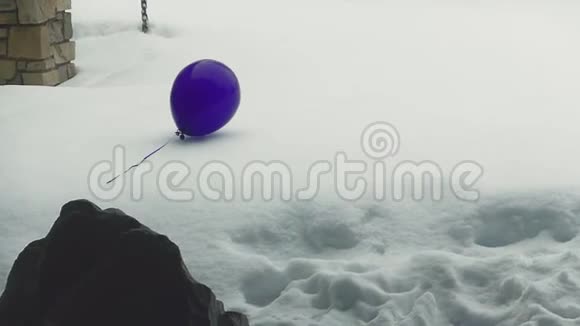 飘浮在雪地上的一个飘零的紫色气球视频的预览图
