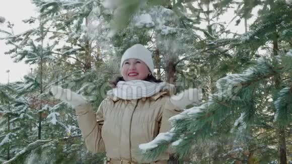 快乐的女人在冬天的森林里笑而雪从针叶树在云杉里享受雪的快乐女人视频的预览图
