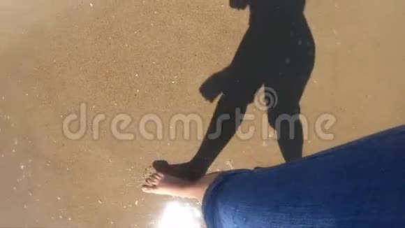 一个女孩走在岸边潮湿的沙滩上的黑影视频的预览图